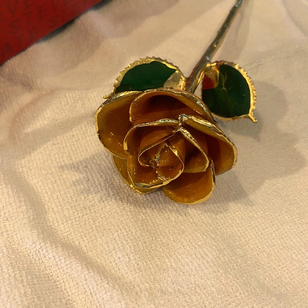 Real peach colored rose dipped in gold.